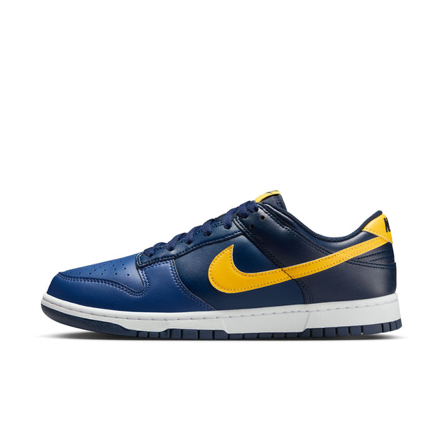 M Nike Dunk Low Retro HF5441-403