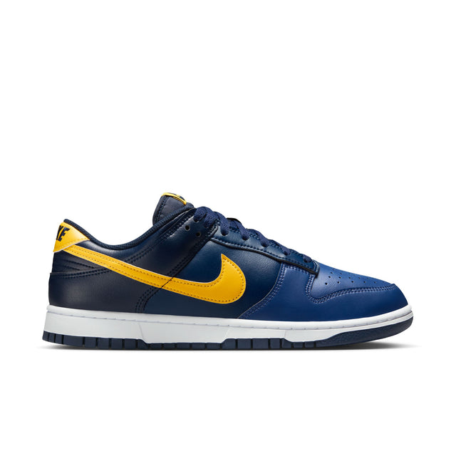 M Nike Dunk Low Retro HF5441-403