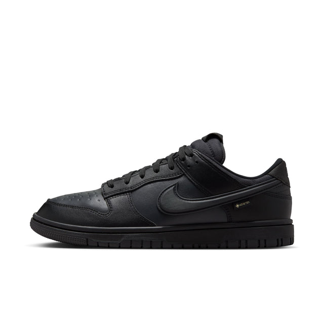 M Nike Dunk Low GORE-TEX HQ2053-001