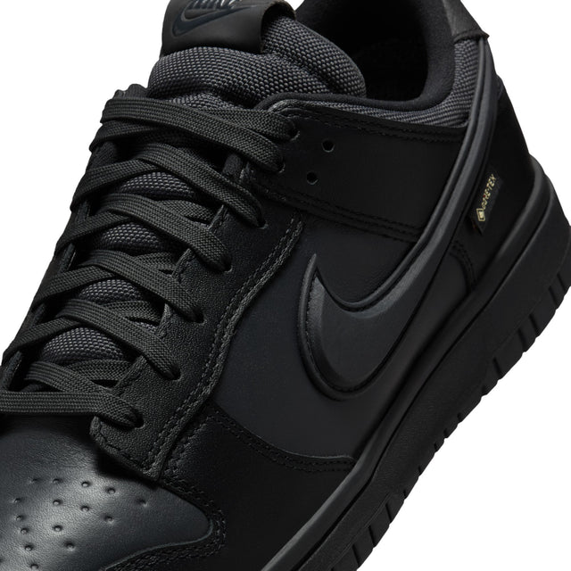M Nike Dunk Low GORE-TEX HQ2053-001