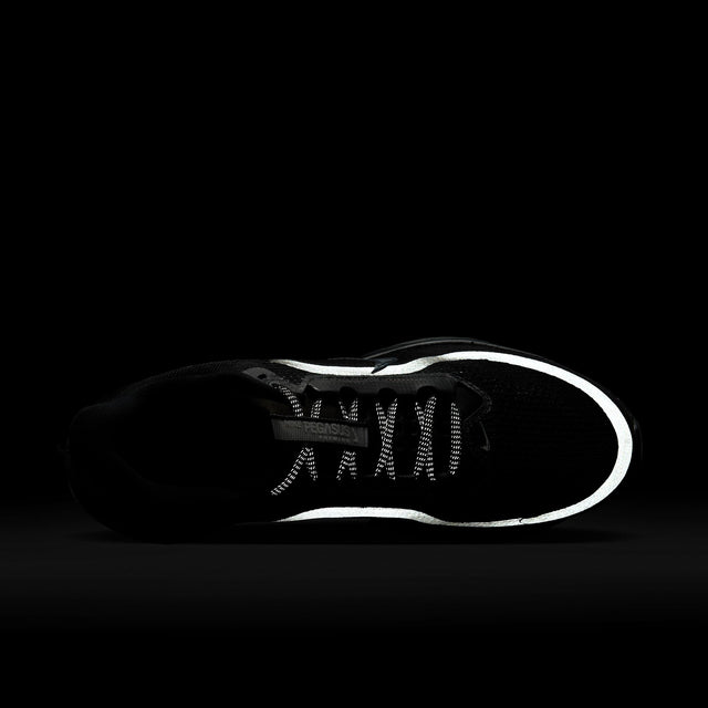 M Nike Pegasus Premium HQ2592-005