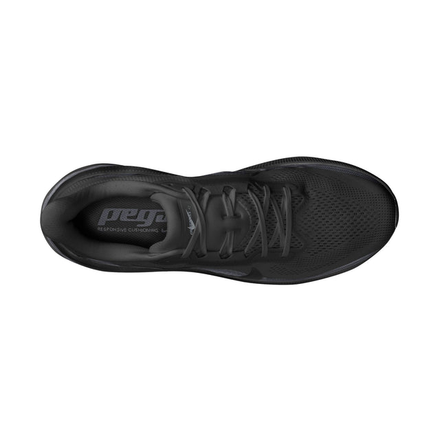 M Nike Pegasus 42 IB1873-003