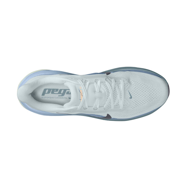 M Nike Pegasus 42 IB1873-005