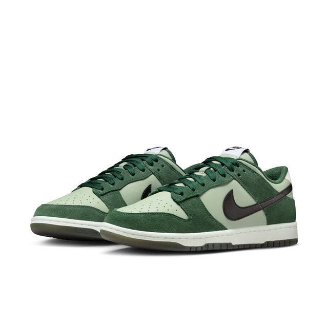 M Nike Dunk Low Retro SE IB6399-301