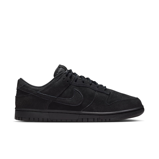 M Nike Dunk Low Retro SE IB6651-001