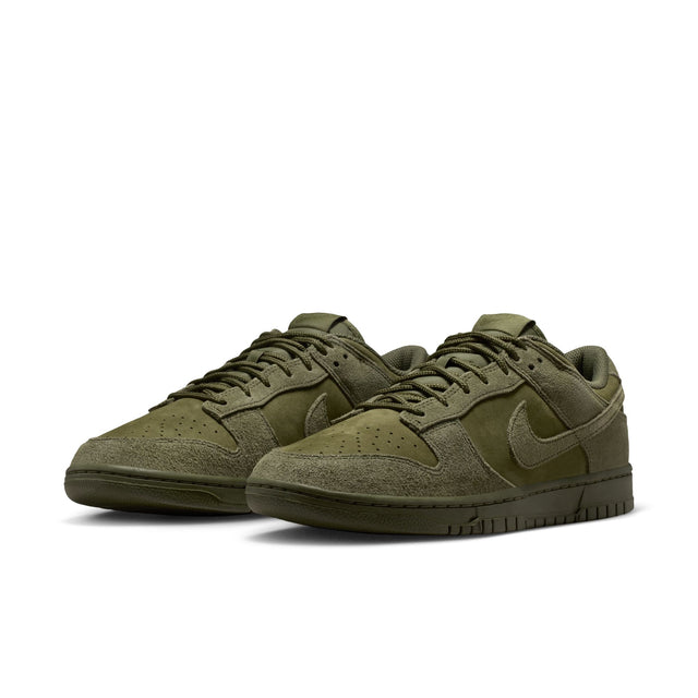 M Nike Dunk Low Retro SE IB6651-300
