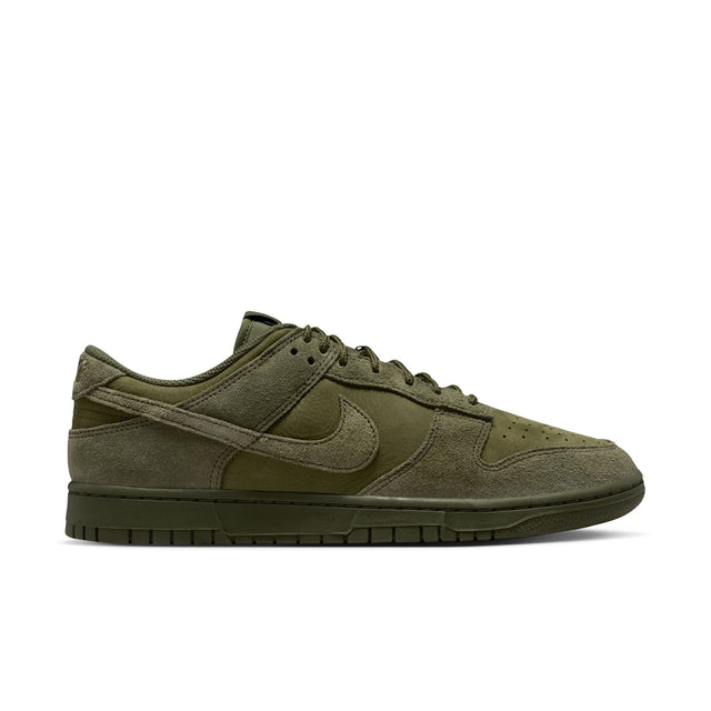 M Nike Dunk Low Retro SE IB6651-300