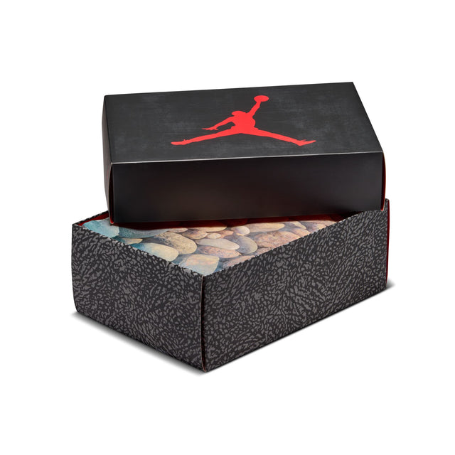 Y Air Jordan 3 Retro IB7066-001