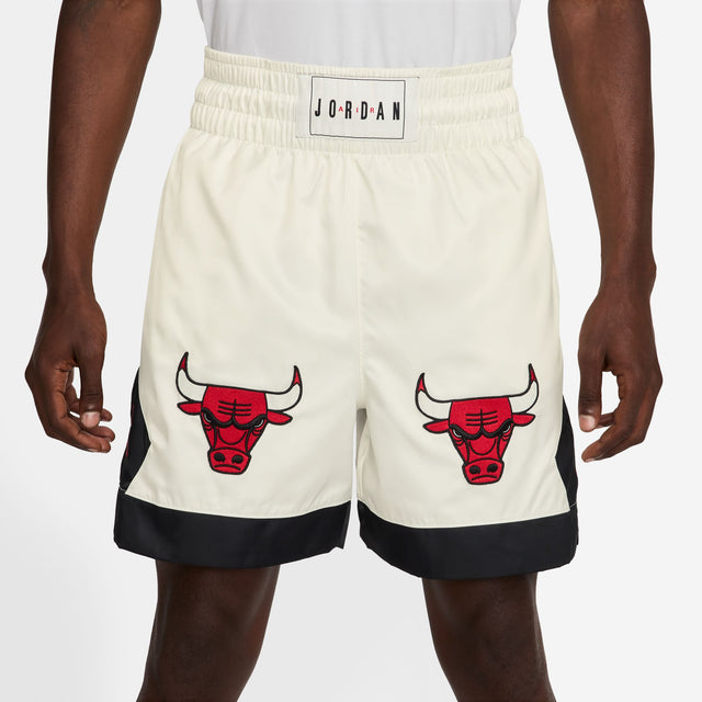 Jordan Flight IF1921-133