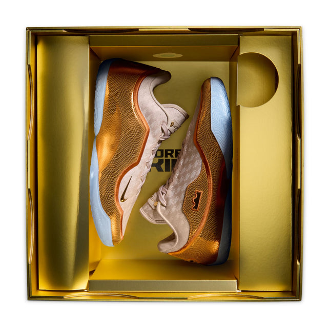 M LeBron XXIII "LeBronto" IH1513-602