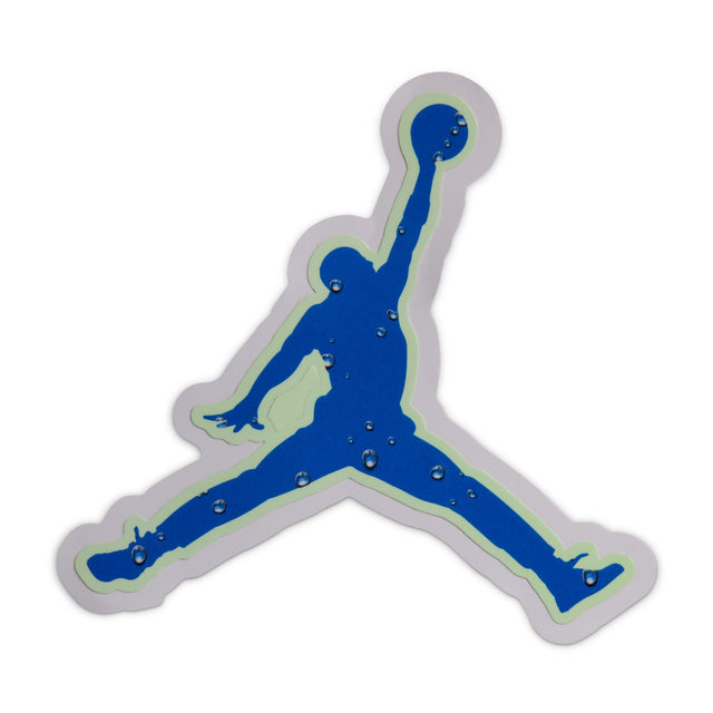 Y Jordan 1 Low Alt SE II1251-100