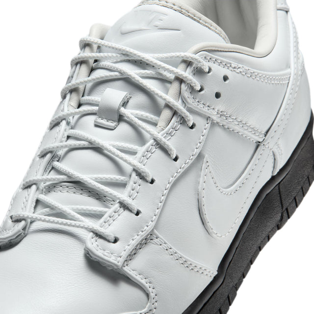 M Nike Dunk Low Retro Premium IQ3342-100