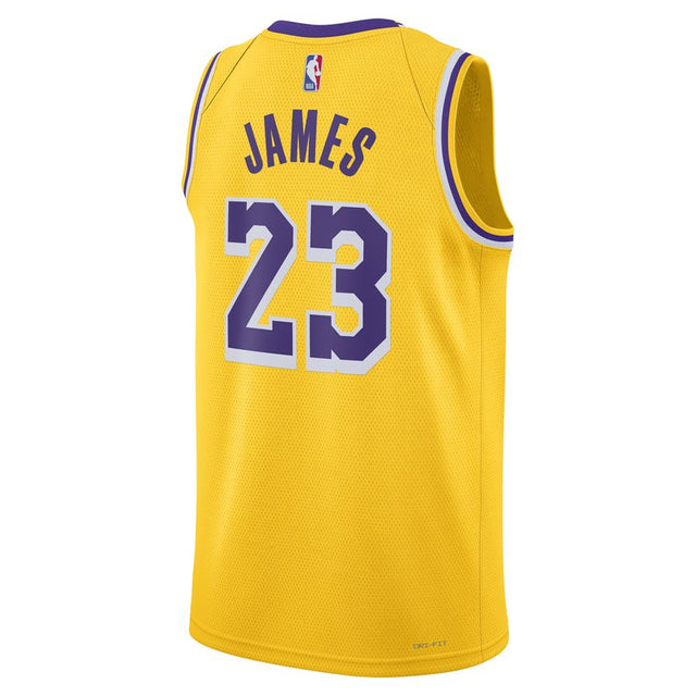 Buy NIKE Los Angeles Lakers Icon Edition 2022/23 DN2009-733 Canada Online
