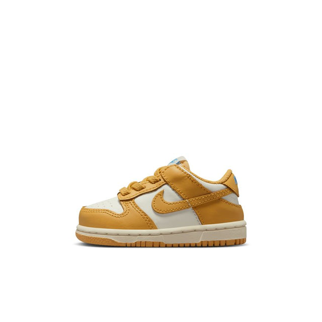 Buy NIKE Nike Dunk Low FB9107-700 Canada Online