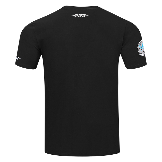 NFL DETROIT LIONS TEAM BADGE MEN'S SJ TEE FDL1411047-BLK