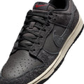 Buy NIKE Nike Dunk Low Retro Premium HF3145-001 Canada Online