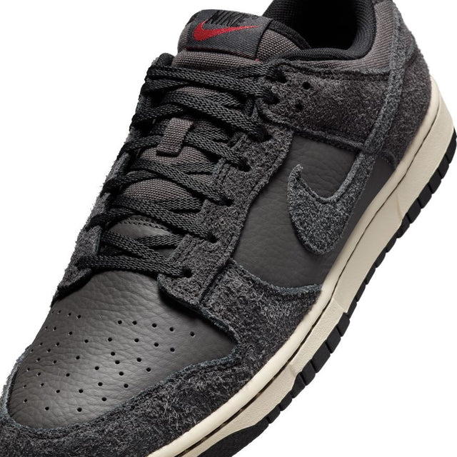 Buy NIKE Nike Dunk Low Retro Premium HF3145-001 Canada Online