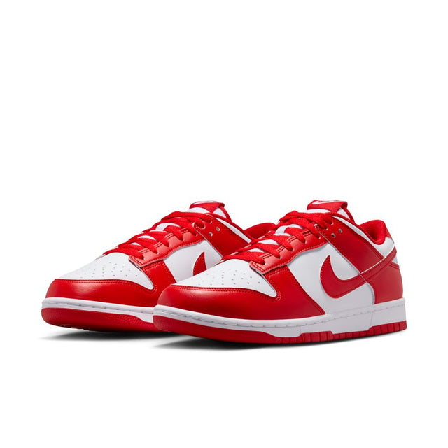 Buy NIKE Nike Dunk Low Retro HF5441-104 Canada Online